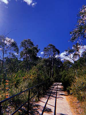 hiking track outside sydney